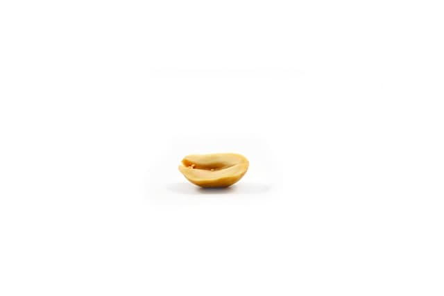 peanut, food, doré, white, white background, free image, peanut, peanut, peanut, peanut, peanut