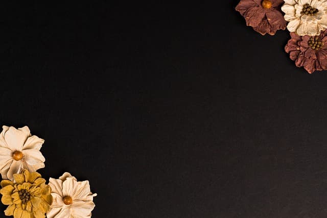 flowers, beautiful flowers, paper, hd wallpaper, desktop backgrounds, card stock, mac wallpaper, wallpaper 4k, cool backgrounds, copy space, floral frame, free wallpaper, flower wallpaper, full hd wallpaper, floral, photo frame, flower background, beautiful wallpaper, 4k wallpaper, scrapbook, free background, floral background, laptop wallpaper, windows wallpaper, dry, nature, rustic aesthetic, 4k wallpaper 1920x1080, wallpaper hd, background