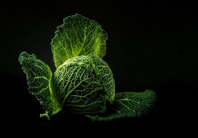 vegetable, cabbage, green, nature, food, fresh, raw, leaves, green food, green vegetable, green leaves, healthy, black background, food photography