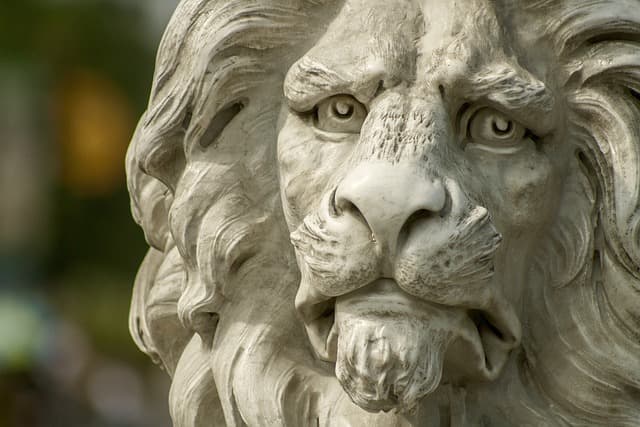 lion, statue, bust, animal, face, lion face, head, nature, lion head, lion statue, lion sculpture, stone sculpture, art, artwork, close up