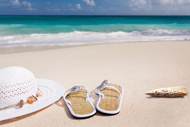 beach, sand, sea, sandy beach, vacations, caribbean, coast, nature, summer, coneflower, flip-flop, shell