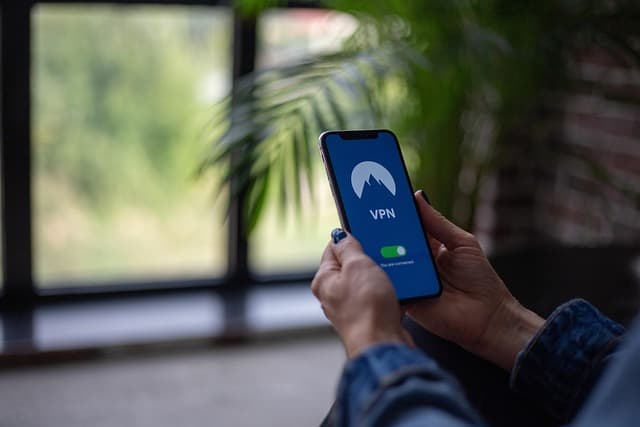 vpn, virtual private network, public wifi, streaming, nature, technology, royalty free, stock photos, internet, connection, security, phone, mobile, shop, window, plant, wall, floor, jacket, smartphone, phone case, website, hand