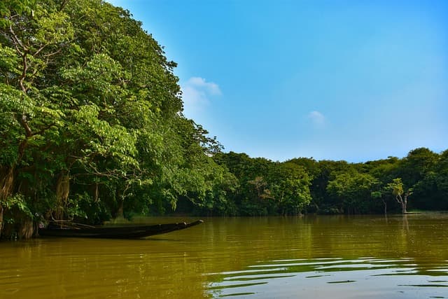 sylhet, nature background, desktop backgrounds, laptop wallpaper, ratargul, bangladesh, 4k wallpaper 1920x1080, water, river, africa, windows wallpaper, lake, sundarban, beautiful nature, travel, mac wallpaper, vacation, landscape, nature, 4k wallpaper, wallpaper hd, tourism, natural, scenic, jungle, wallpaper 4k, boat, free wallpaper, beautiful wallpaper, fisherman, free background, free download, full hd wallpaper, cool backgrounds, wallpaper, hd wallpaper, photography, picture, nature wallpaper, blue sky, sunshine, asia