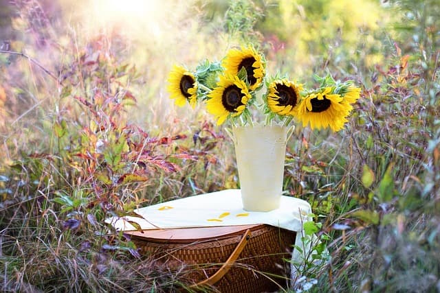 sunflowers, vase, bouquet, flowers, nature, beautiful flowers, flower arrangement, flower wallpaper, floral arrangement, flower background, flower vase