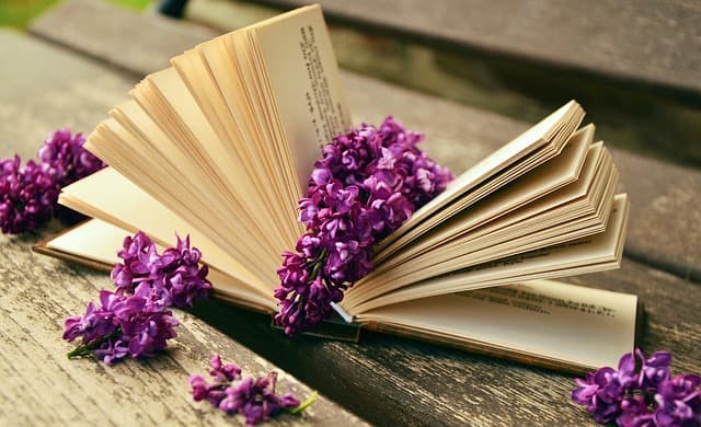 a book, read, relax, lilac, bank, old, book pages, still life, browse, paper, open, leafed through, literature, relax, lilac, lilac, lilac, lilac, lilac, bank, still life, still life, still life, still life, literature