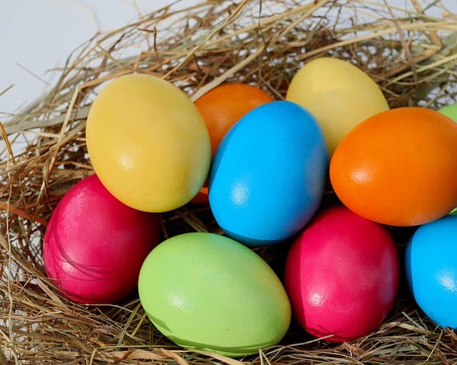 easter, eggs, easter eggs, colorful eggs, colored easter eggs, colorful, chicken eggs, coloured, natural product, food, easter nest, naturally, easter decorations, happy easter, easter, easter, easter, easter, easter, easter eggs