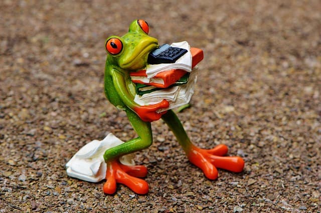 frog, figure, files, stack, pile of files, office, decoration, green, animal, fun, cute, ceramic, nature, calculator, office work, work, stress