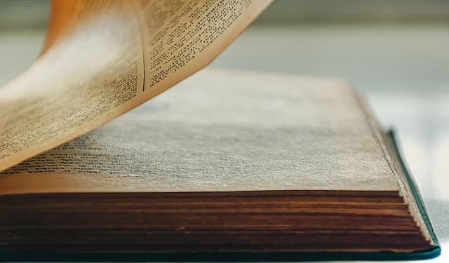 book, literature, reading, library, twine, vintage, book wallpaper, novel, bookmark, book shelf, book cover, free line, chapter, bookworm, light of knowledge, artsy, open book, yellow pages, wisdom, clever, content, new page, hebrew text, storytelling, scroll, book, book, book, book, book, library, content, storytelling, storytelling, storytelling, scroll