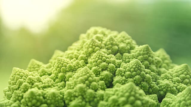 romanesco, vegetables, green, food, vitaminhaltig, vitamins, vegetarian, fresh, vegan, raw food, food, vegan, vegan, vegan, vegan, vegan