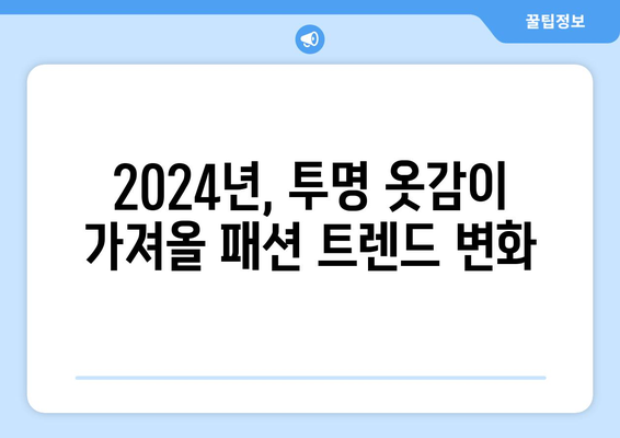 2024년에 눈길을 사로잡는 투명 옷감