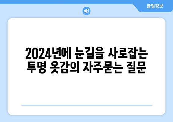 2024년에 눈길을 사로잡는 투명 옷감