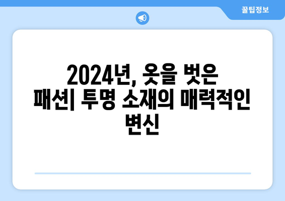 투명성의 우아한 미학: 2024년 패션 트렌드 분석